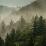 b-portugal-2013-road-trip-gallery-02